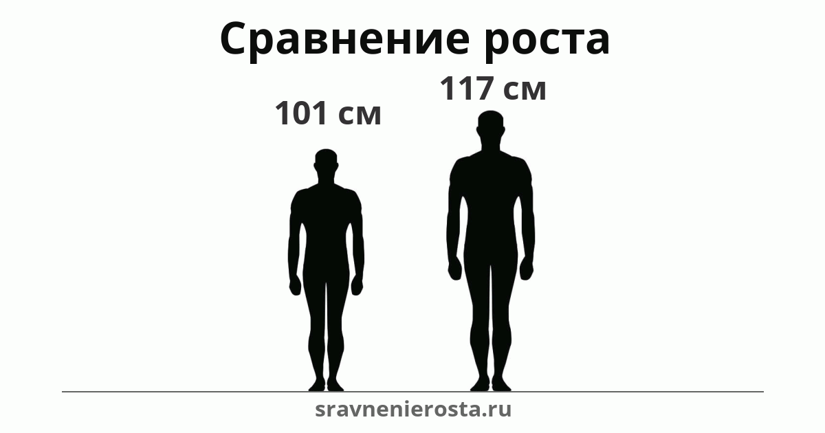 Визуализация соотношения роста мужчины (101 см) и мужчины (117 см) на сайте sravnenierosta.ru
