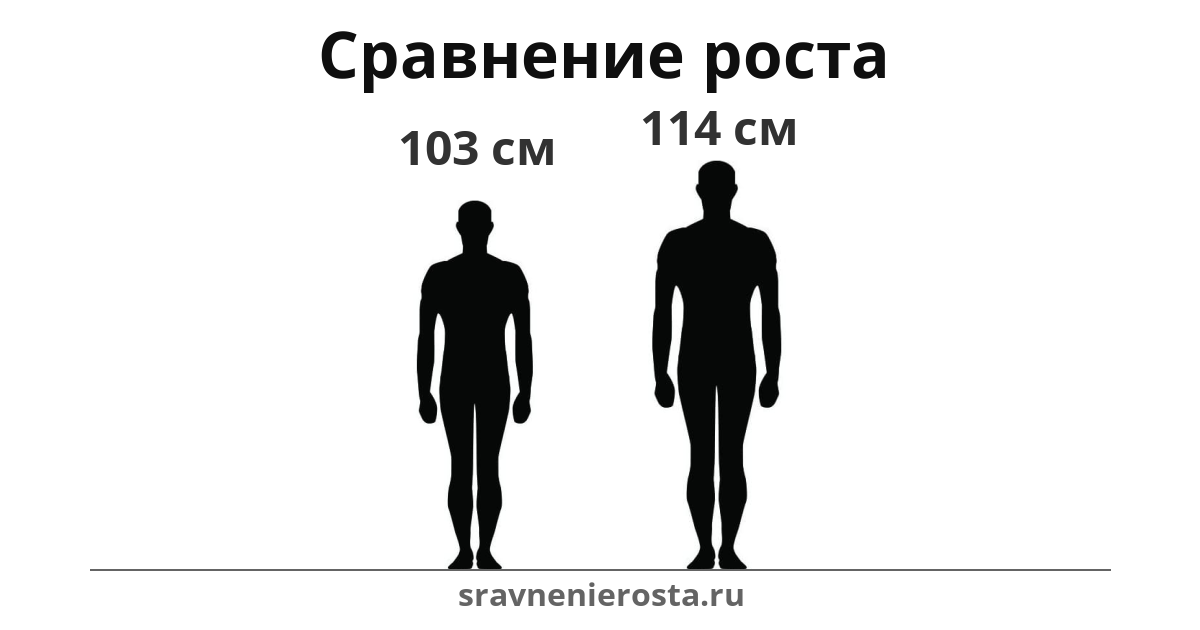 Визуализация соотношения роста мужчины (103 см) и мужчины (114 см) на сайте sravnenierosta.ru