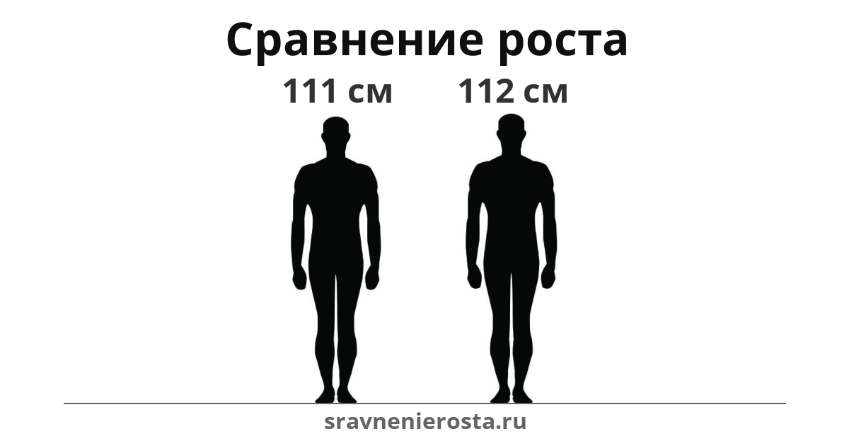 Визуализация соотношения роста мужчины (111 см) и мужчины (112 см) на сайте sravnenierosta.ru