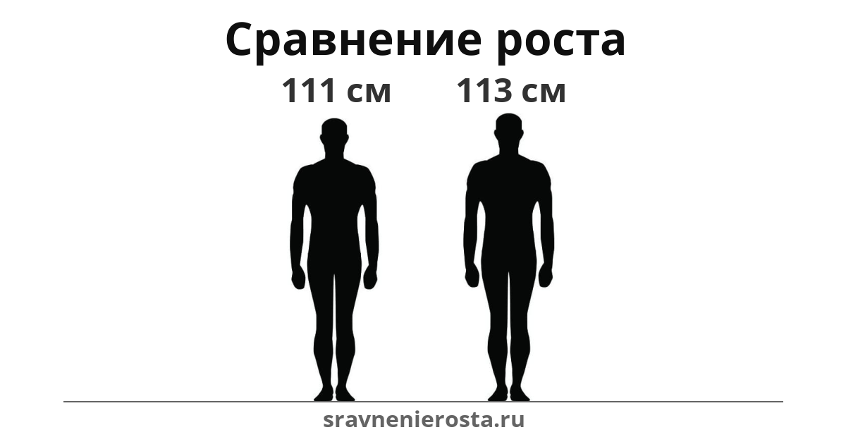 Визуализация соотношения роста мужчины (111 см) и мужчины (113 см) на сайте sravnenierosta.ru