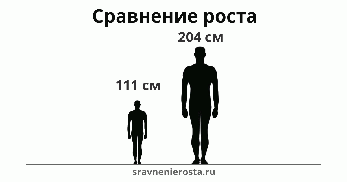 Визуализация соотношения роста мужчины (111 см) и мужчины (204 см) на сайте sravnenierosta.ru