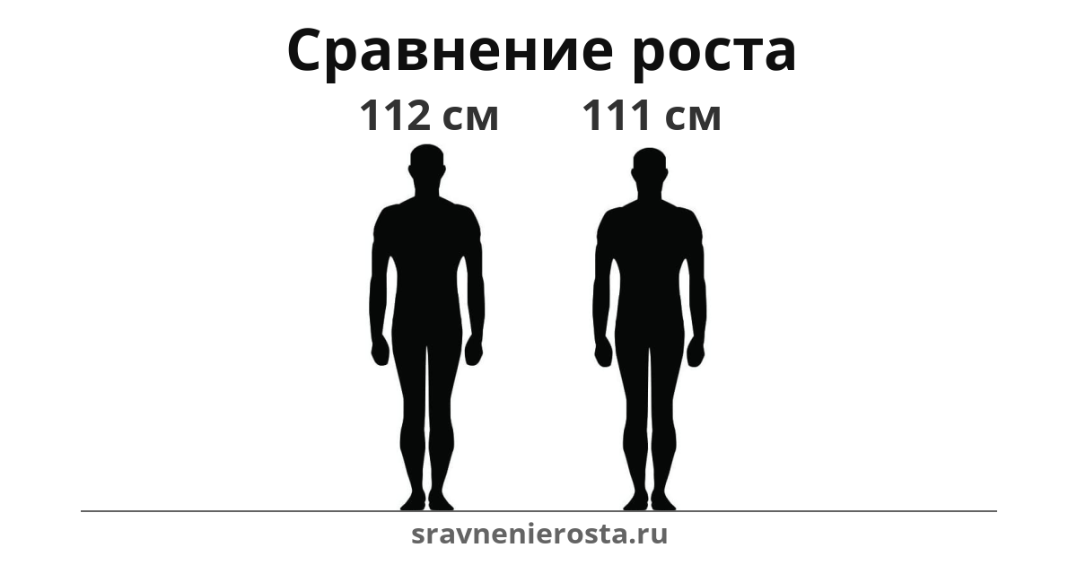 Визуализация соотношения роста мужчины (112 см) и мужчины (111 см) на сайте sravnenierosta.ru
