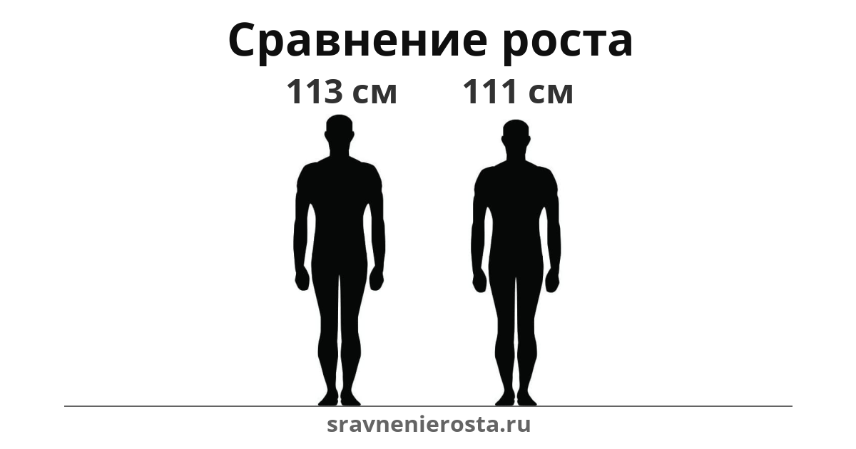 Визуализация соотношения роста мужчины (113 см) и мужчины (111 см) на сайте sravnenierosta.ru