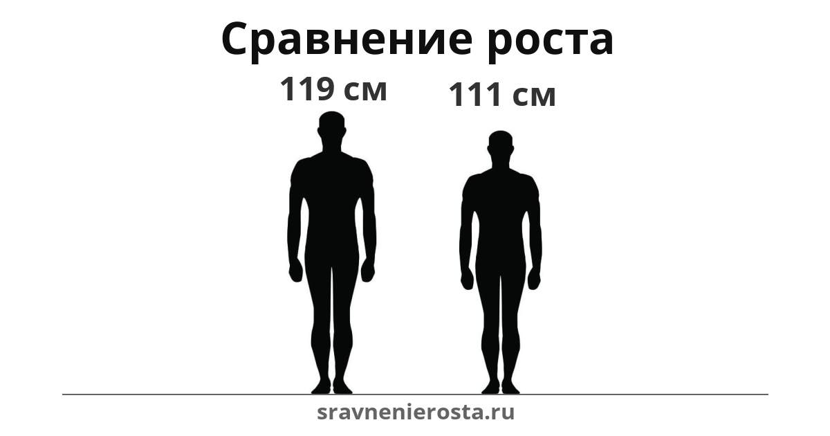 Визуализация соотношения роста мужчины (119 см) и мужчины (111 см) на сайте sravnenierosta.ru