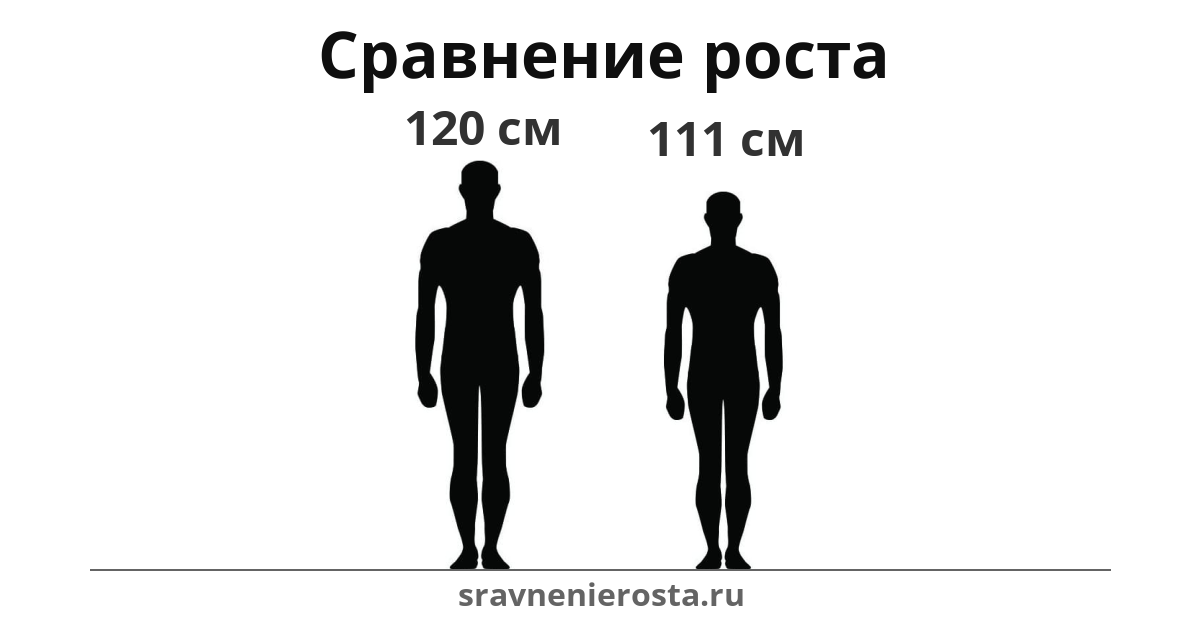 Визуализация соотношения роста мужчины (120 см) и мужчины (111 см) на сайте sravnenierosta.ru