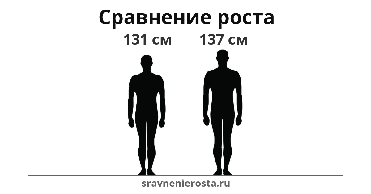 Визуализация соотношения роста мужчины (131 см) и мужчины (137 см) на сайте sravnenierosta.ru