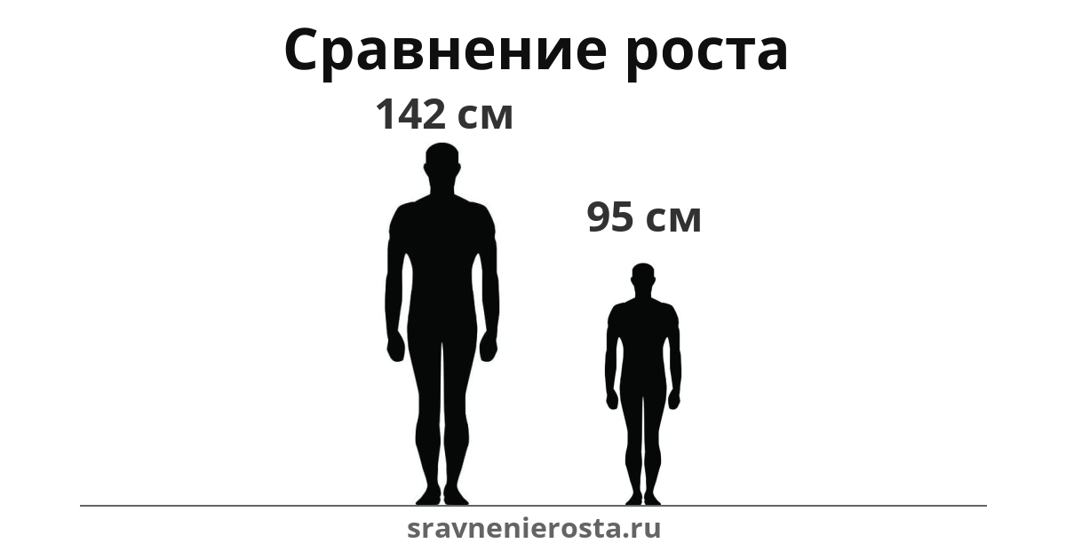Визуализация соотношения роста мужчины (142 см) и мужчины (95 см) на сайте sravnenierosta.ru