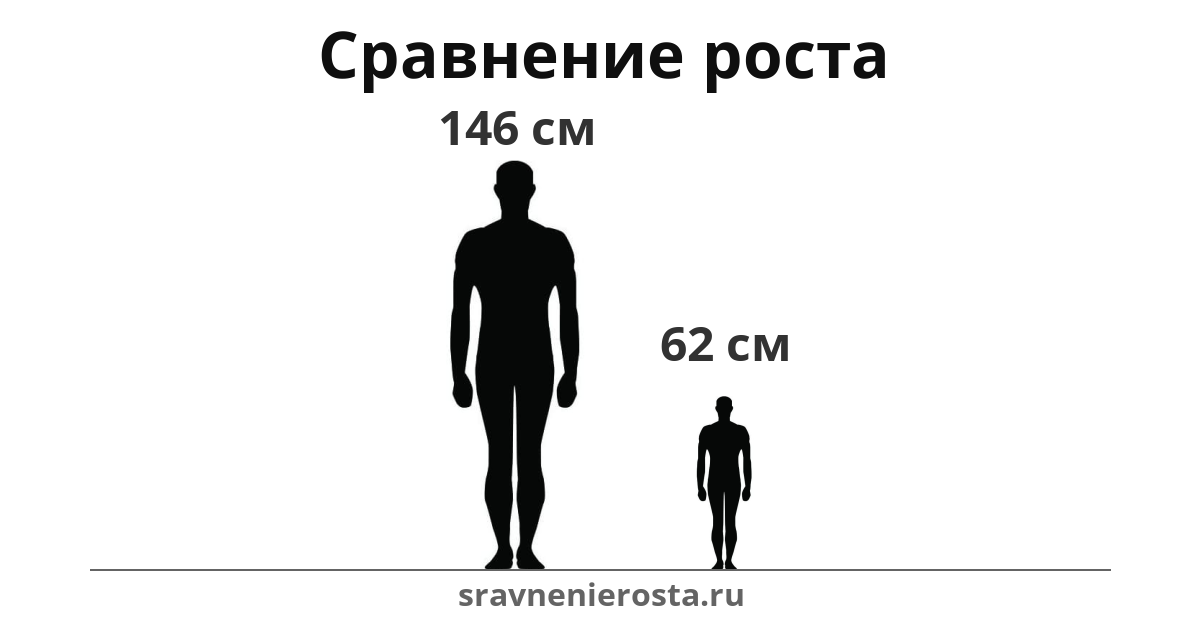 Визуализация соотношения роста мужчины (146 см) и мужчины (62 см) на сайте sravnenierosta.ru