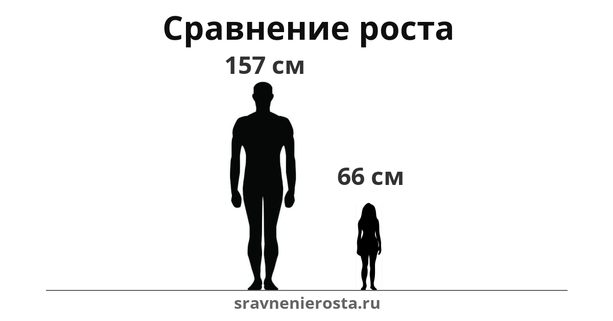 Визуализация соотношения роста мужчины (157 см) и женщины (66 см) на сайте sravnenierosta.ru
