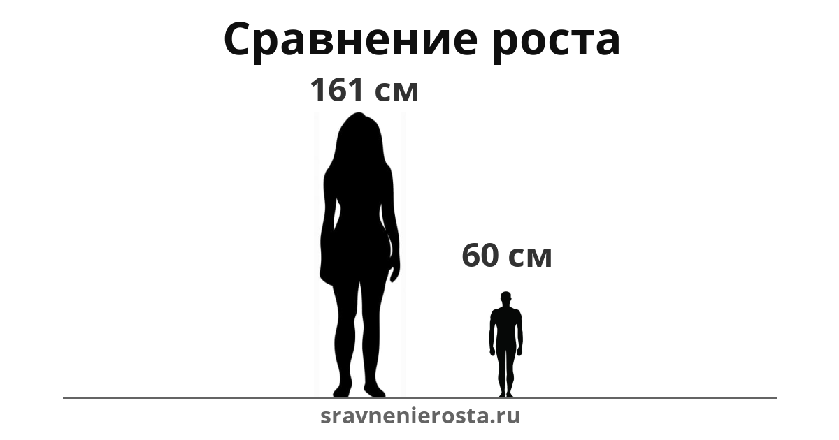 Визуализация соотношения роста женщины (161 см) и мужчины (60 см) на сайте sravnenierosta.ru