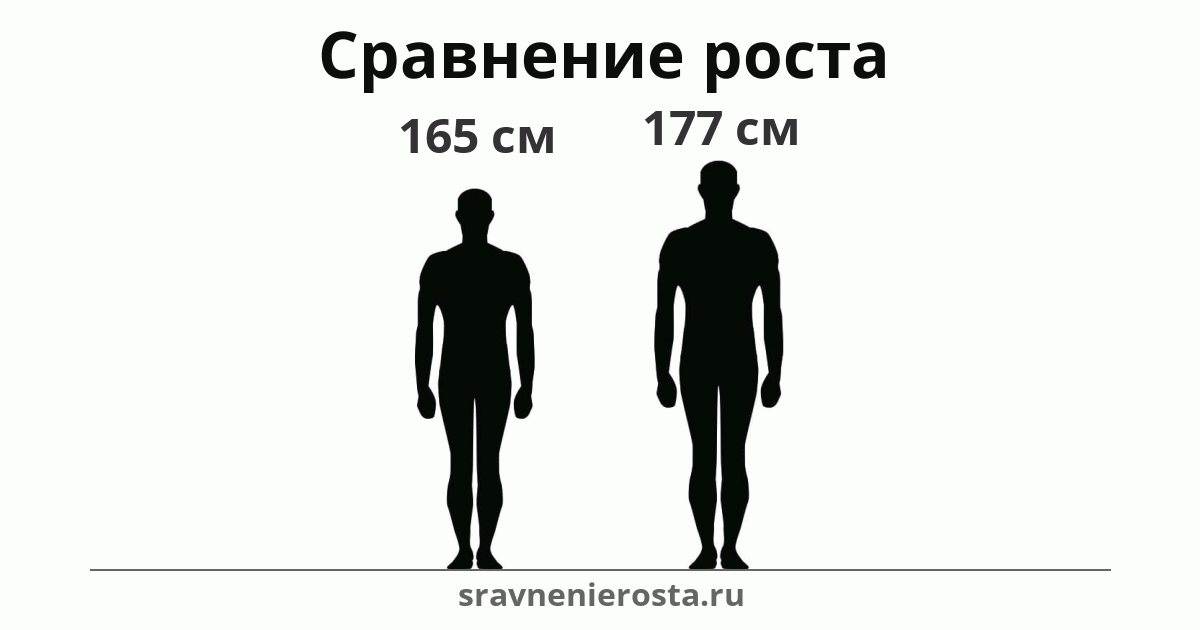Визуализация соотношения роста мужчины (165 см) и мужчины (177 см) на сайте sravnenierosta.ru