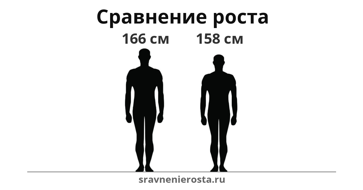 Визуализация соотношения роста мужчины (166 см) и мужчины (158 см) на сайте sravnenierosta.ru