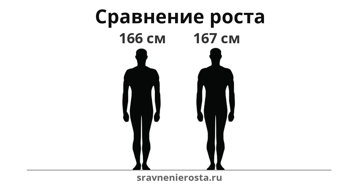 Визуализация соотношения роста мужчины (166 см) и мужчины (167 см) на сайте sravnenierosta.ru