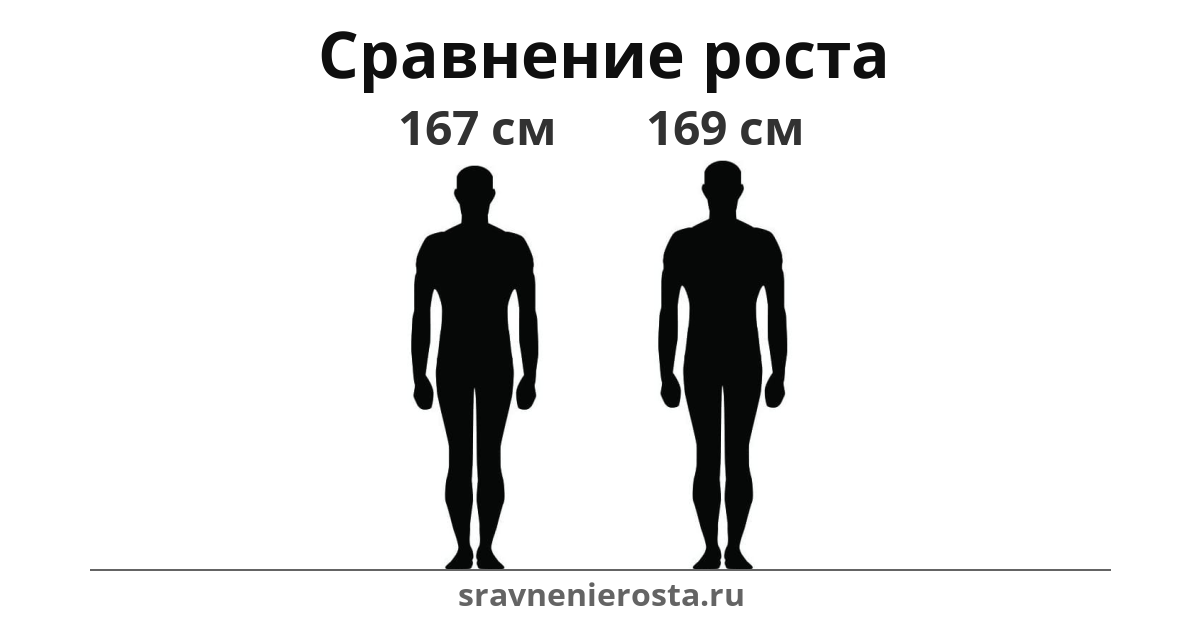 Визуализация соотношения роста мужчины (167 см) и мужчины (169 см) на сайте sravnenierosta.ru