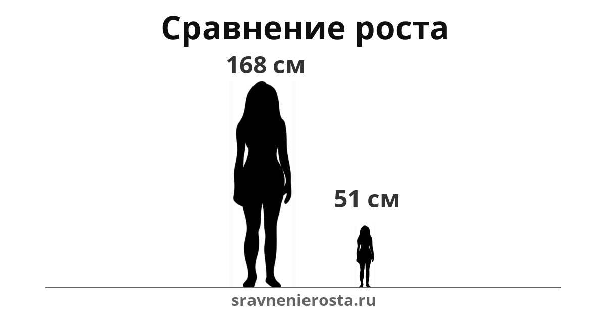 Визуализация соотношения роста женщины (168 см) и женщины (51 см) на сайте sravnenierosta.ru