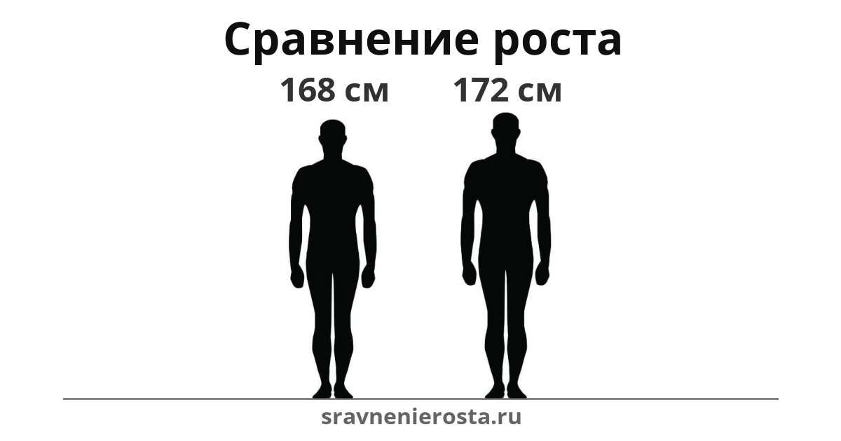 Визуализация соотношения роста мужчины (168 см) и мужчины (172 см) на сайте sravnenierosta.ru