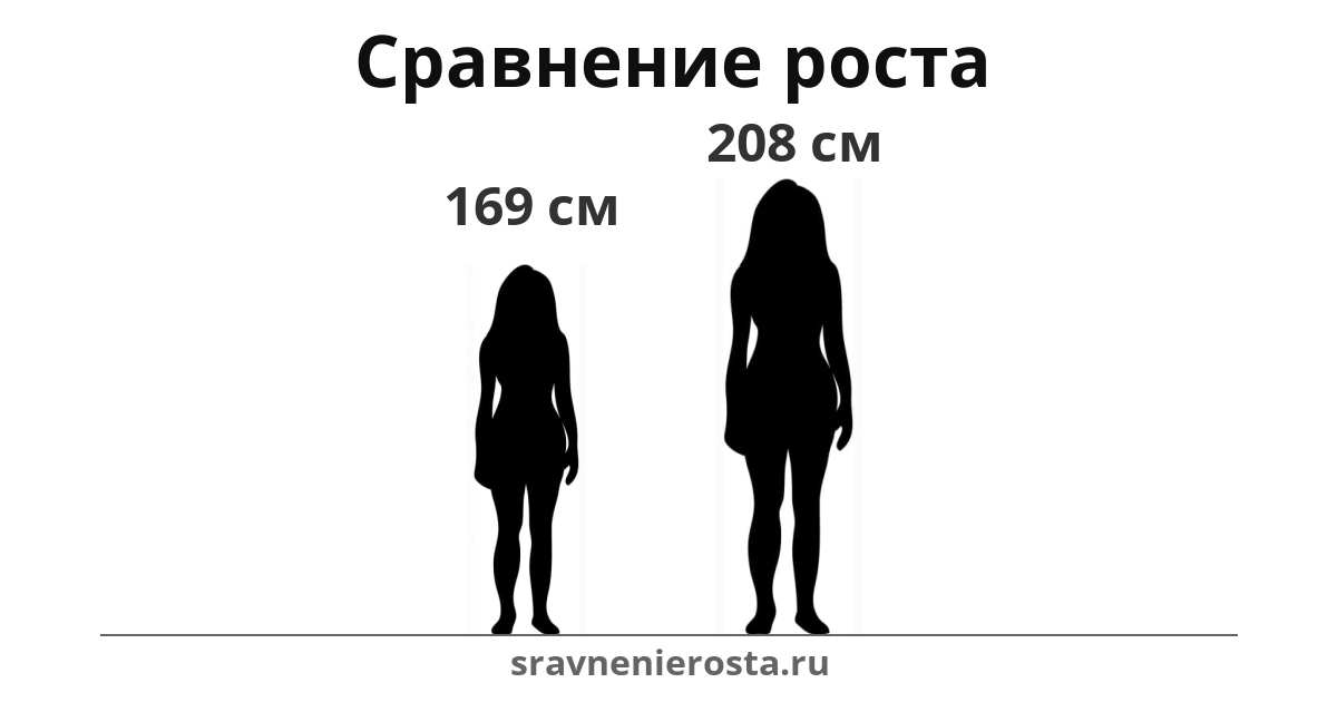 Визуализация соотношения роста женщины (169 см) и женщины (208 см) на сайте sravnenierosta.ru
