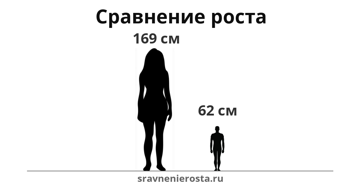 Визуализация соотношения роста женщины (169 см) и мужчины (62 см) на сайте sravnenierosta.ru