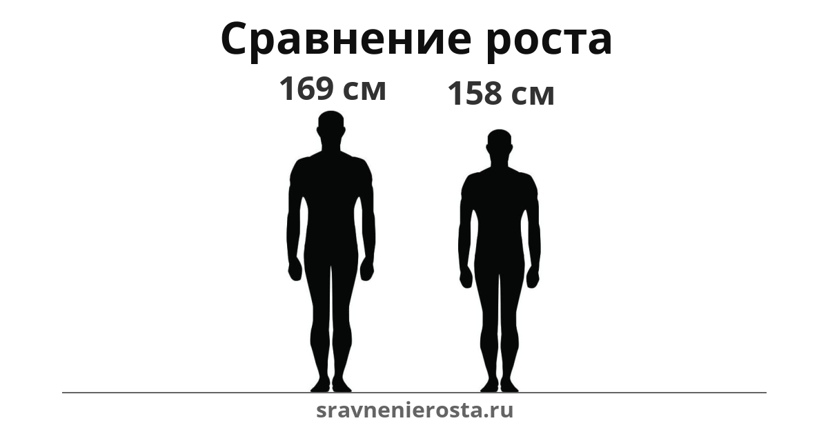 Визуализация соотношения роста мужчины (169 см) и мужчины (158 см) на сайте sravnenierosta.ru
