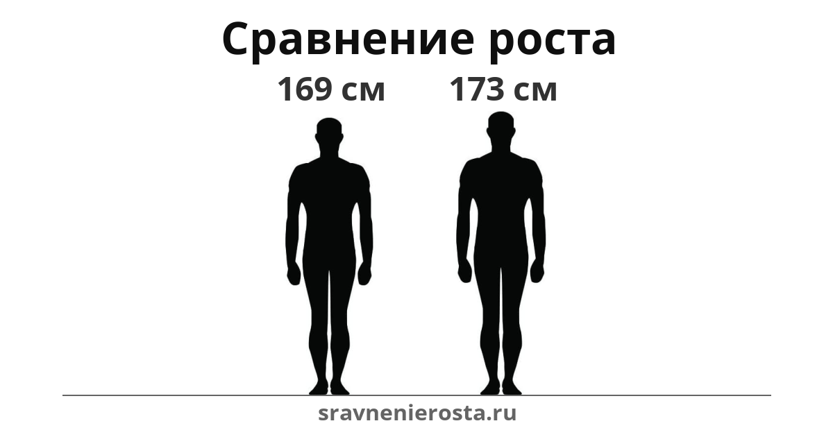 Визуализация соотношения роста мужчины (169 см) и мужчины (173 см) на сайте sravnenierosta.ru