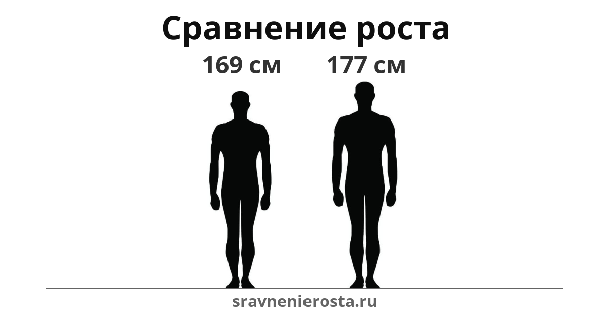 Визуализация соотношения роста мужчины (169 см) и мужчины (177 см) на сайте sravnenierosta.ru