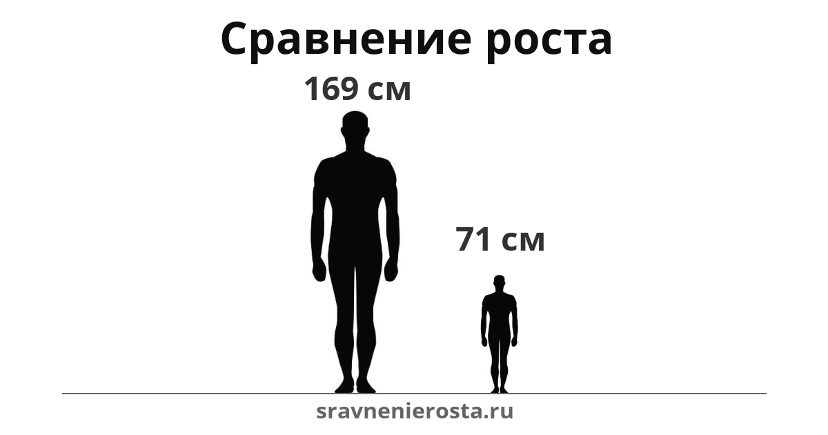 Визуализация соотношения роста мужчины (169 см) и мужчины (71 см) на сайте sravnenierosta.ru