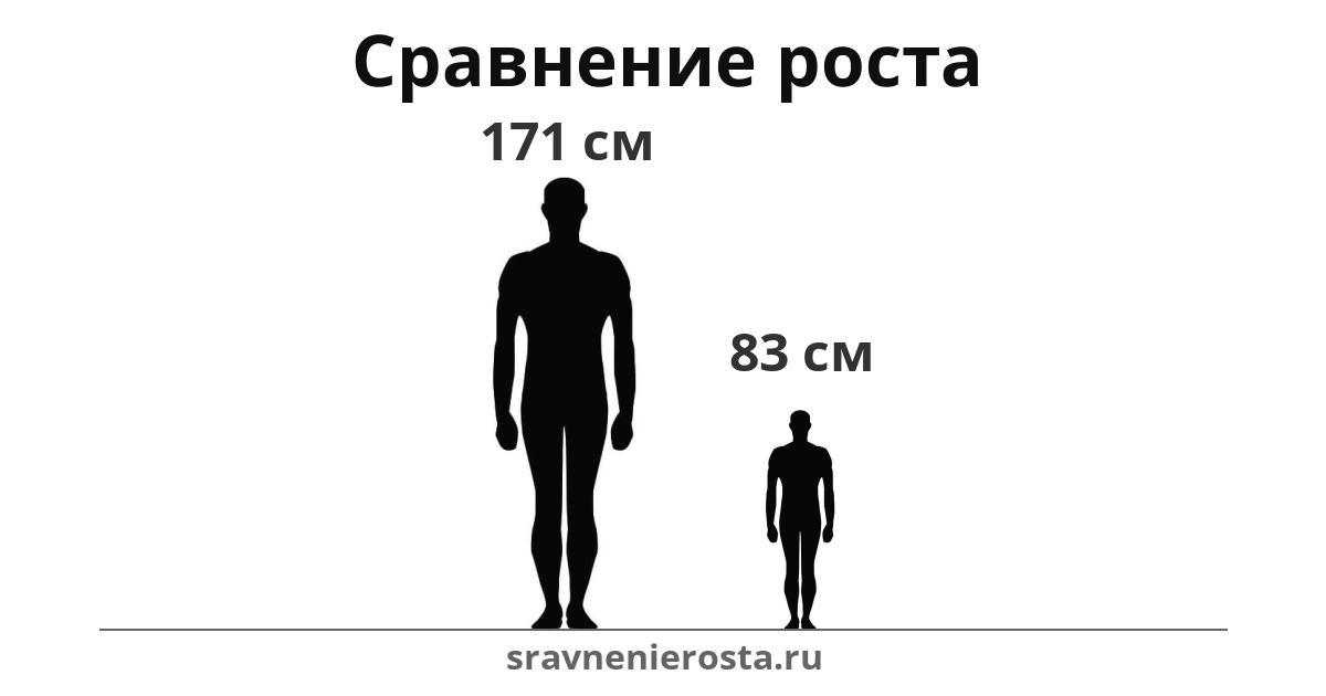 Визуализация соотношения роста мужчины (171 см) и мужчины (83 см) на сайте sravnenierosta.ru