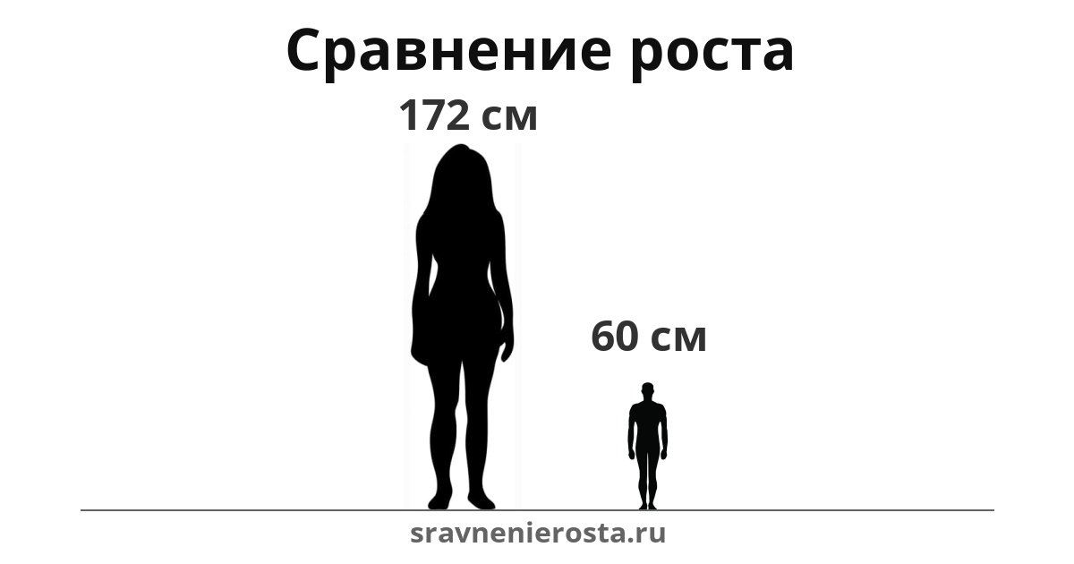 Визуализация соотношения роста женщины (172 см) и мужчины (60 см) на сайте sravnenierosta.ru
