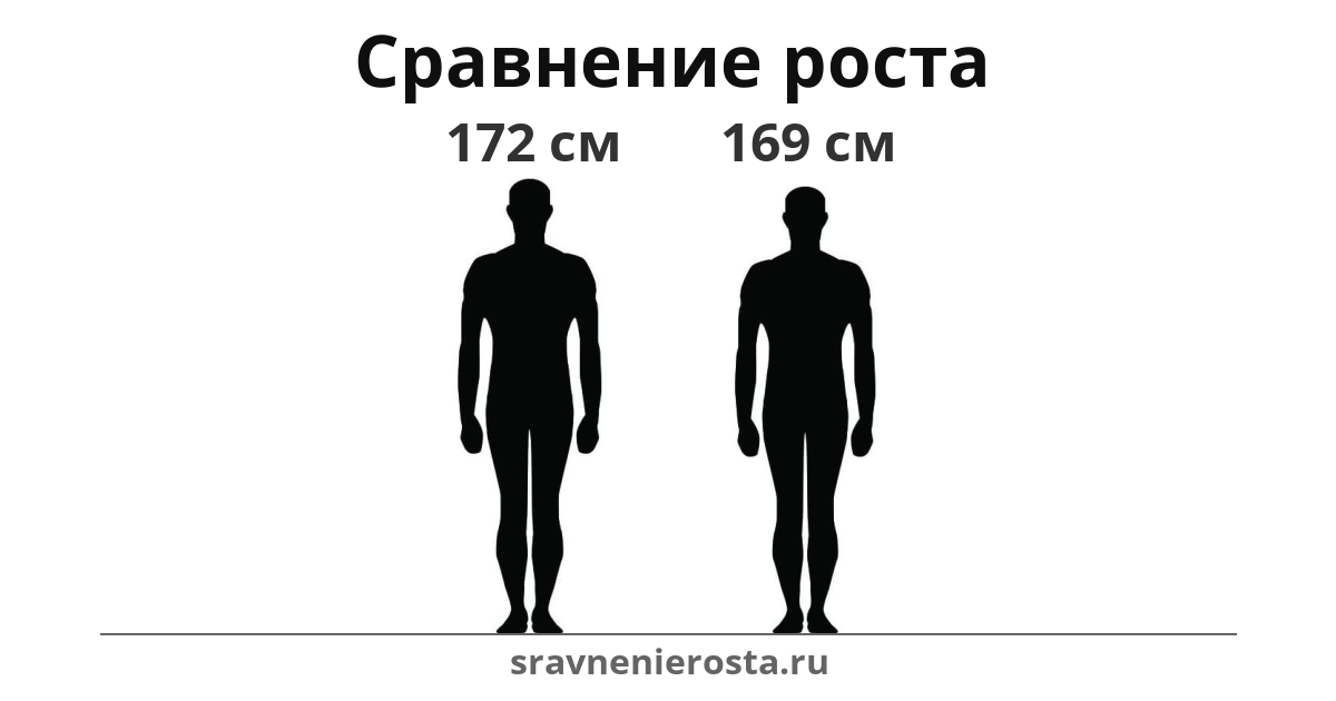 Визуализация соотношения роста мужчины (172 см) и мужчины (169 см) на сайте sravnenierosta.ru