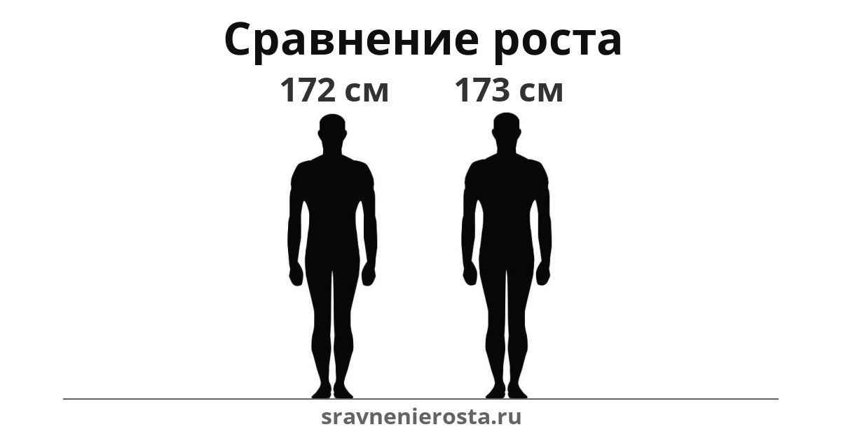Визуализация соотношения роста мужчины (172 см) и мужчины (173 см) на сайте sravnenierosta.ru