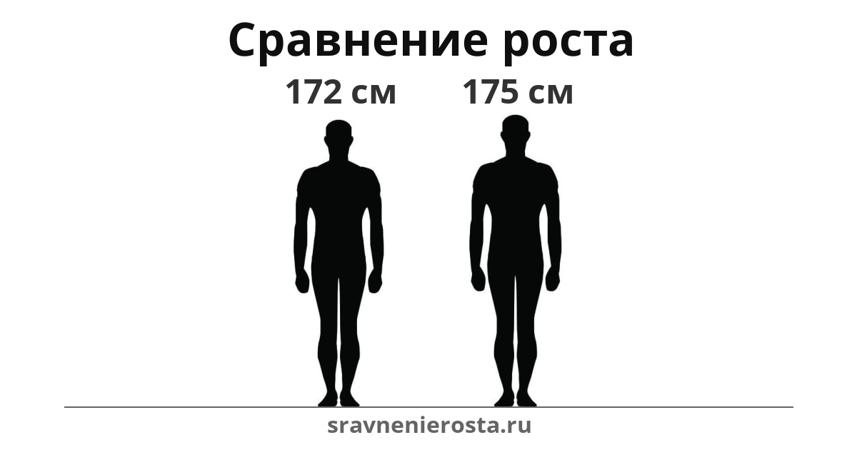 Визуализация соотношения роста мужчины (172 см) и мужчины (175 см) на сайте sravnenierosta.ru
