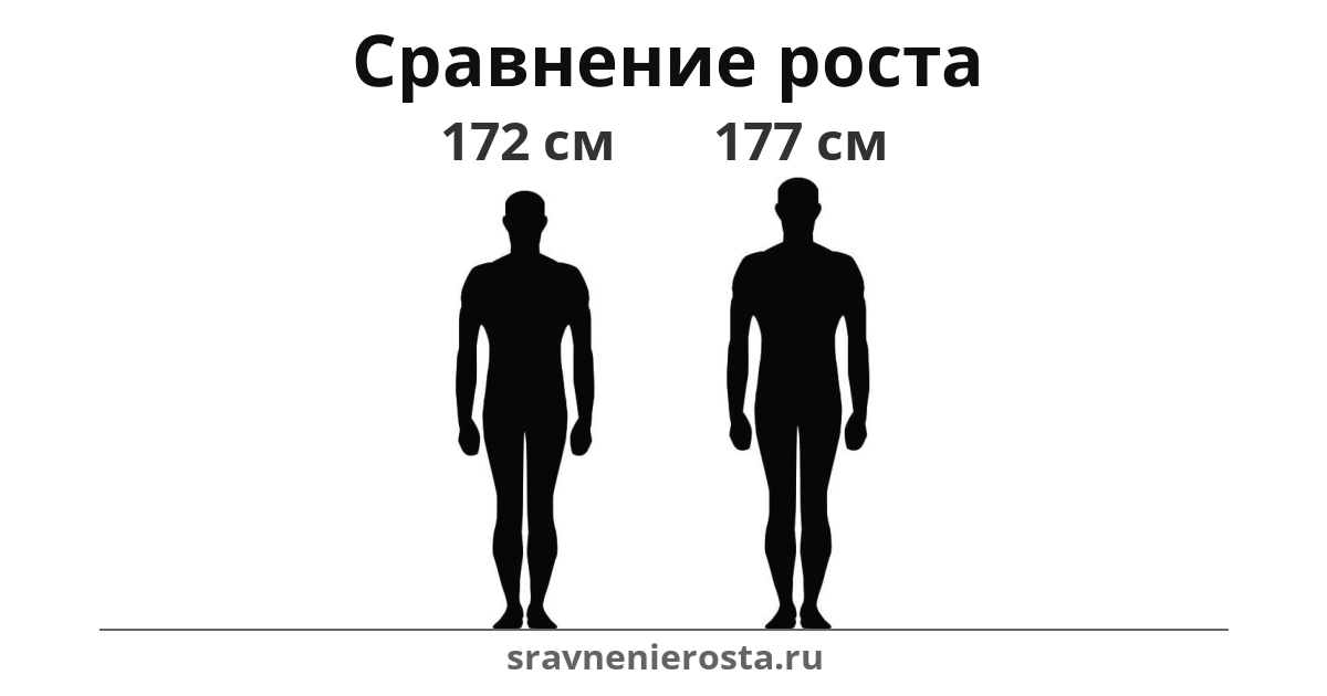Визуализация соотношения роста мужчины (172 см) и мужчины (177 см) на сайте sravnenierosta.ru