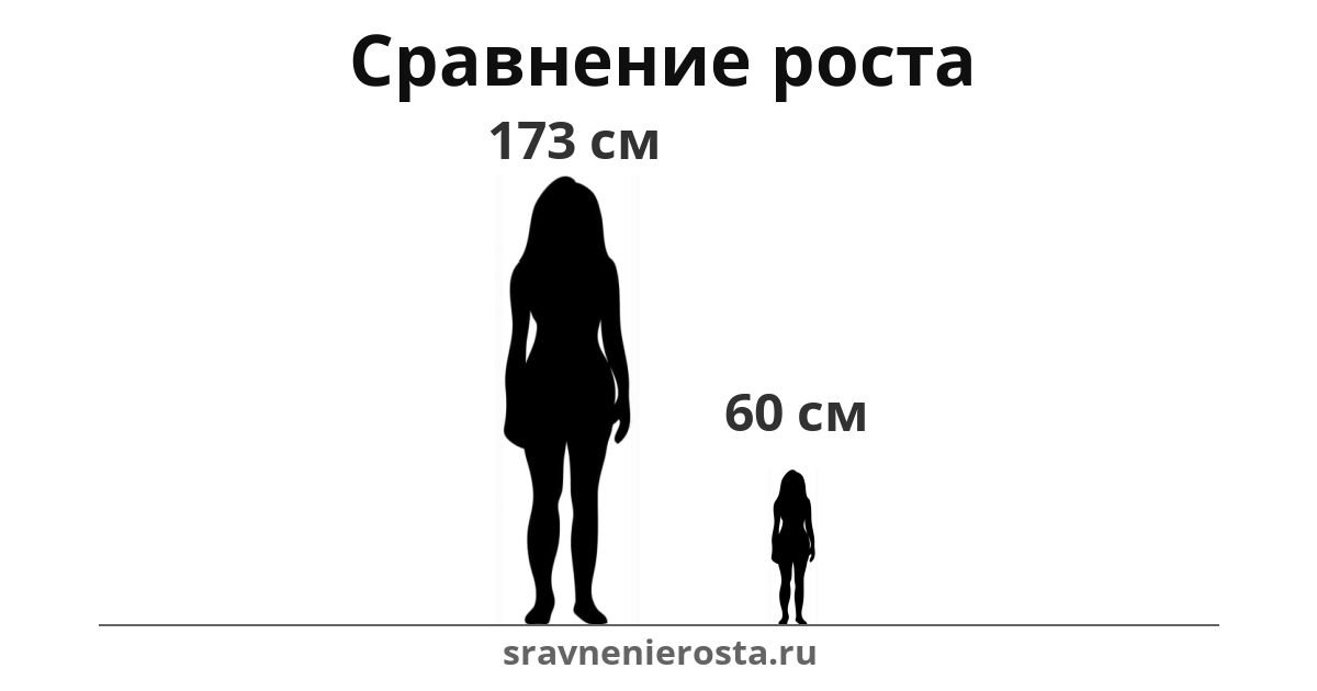 Визуализация соотношения роста женщины (173 см) и женщины (60 см) на сайте sravnenierosta.ru