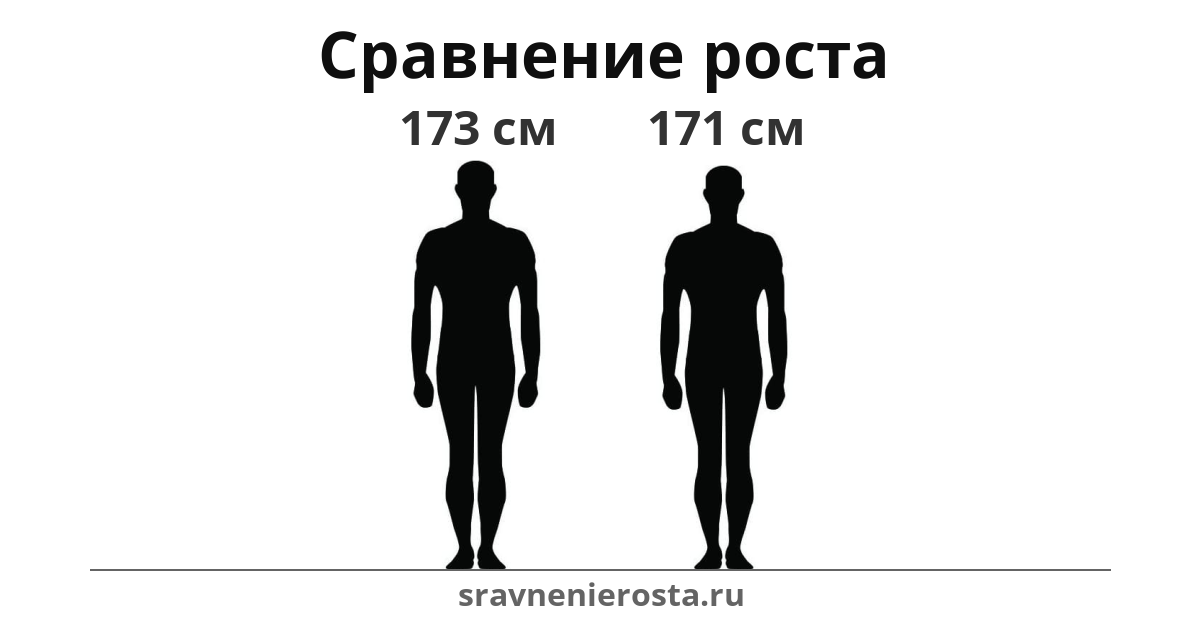 Визуализация соотношения роста мужчины (173 см) и мужчины (171 см) на сайте sravnenierosta.ru
