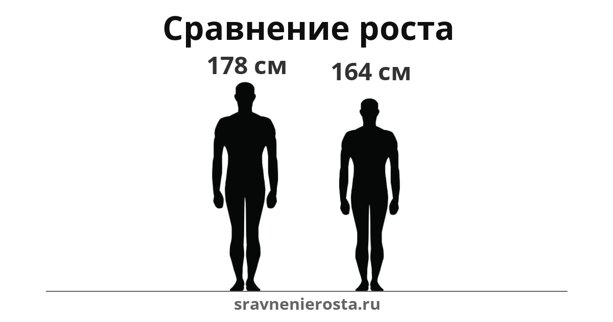 Визуализация соотношения роста мужчины (178 см) и мужчины (164 см) на сайте sravnenierosta.ru