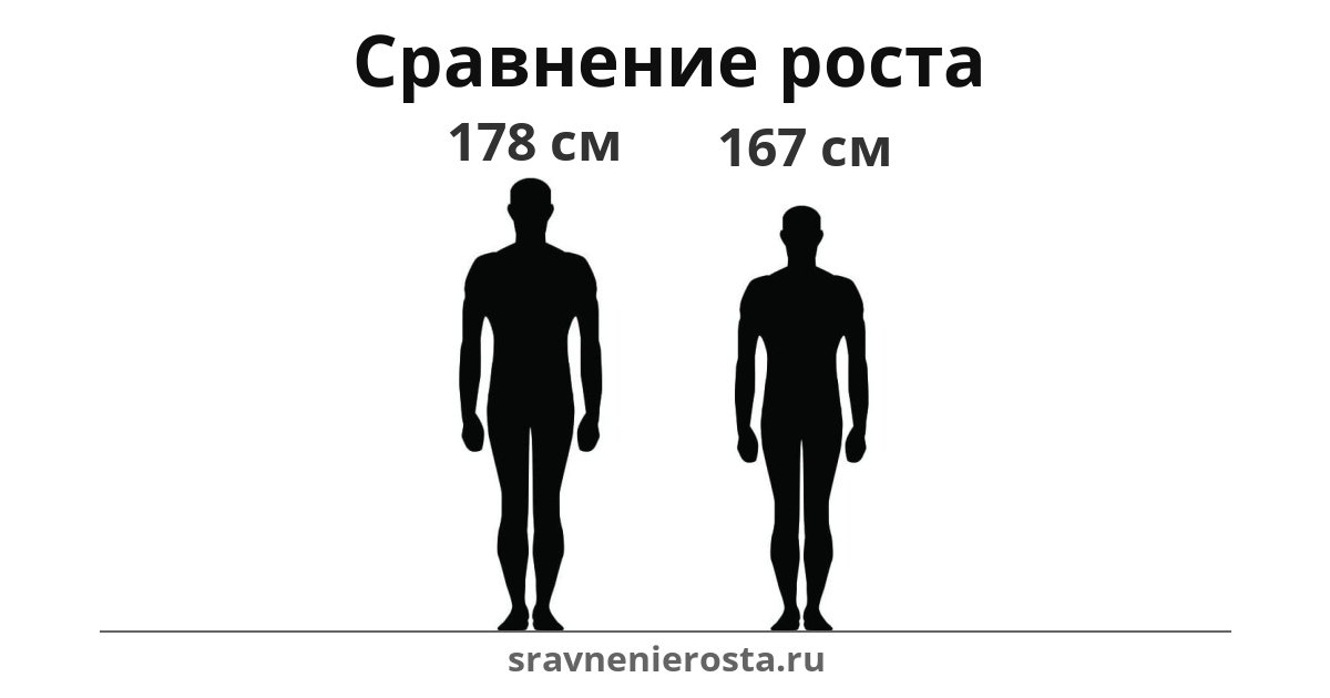 Визуализация соотношения роста мужчины (178 см) и мужчины (167 см) на сайте sravnenierosta.ru