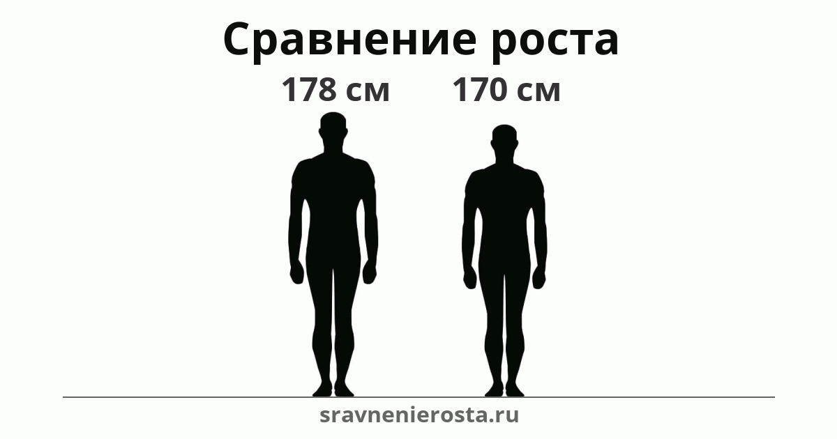Визуализация соотношения роста мужчины (178 см) и мужчины (170 см) на сайте sravnenierosta.ru