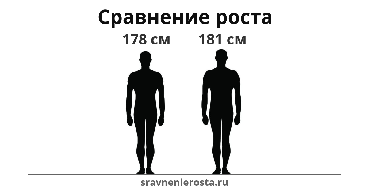 Визуализация соотношения роста мужчины (178 см) и мужчины (181 см) на сайте sravnenierosta.ru