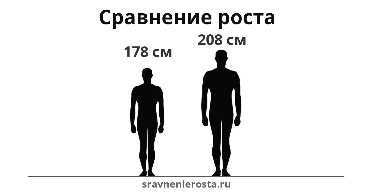 Визуализация соотношения роста мужчины (178 см) и мужчины (208 см) на сайте sravnenierosta.ru