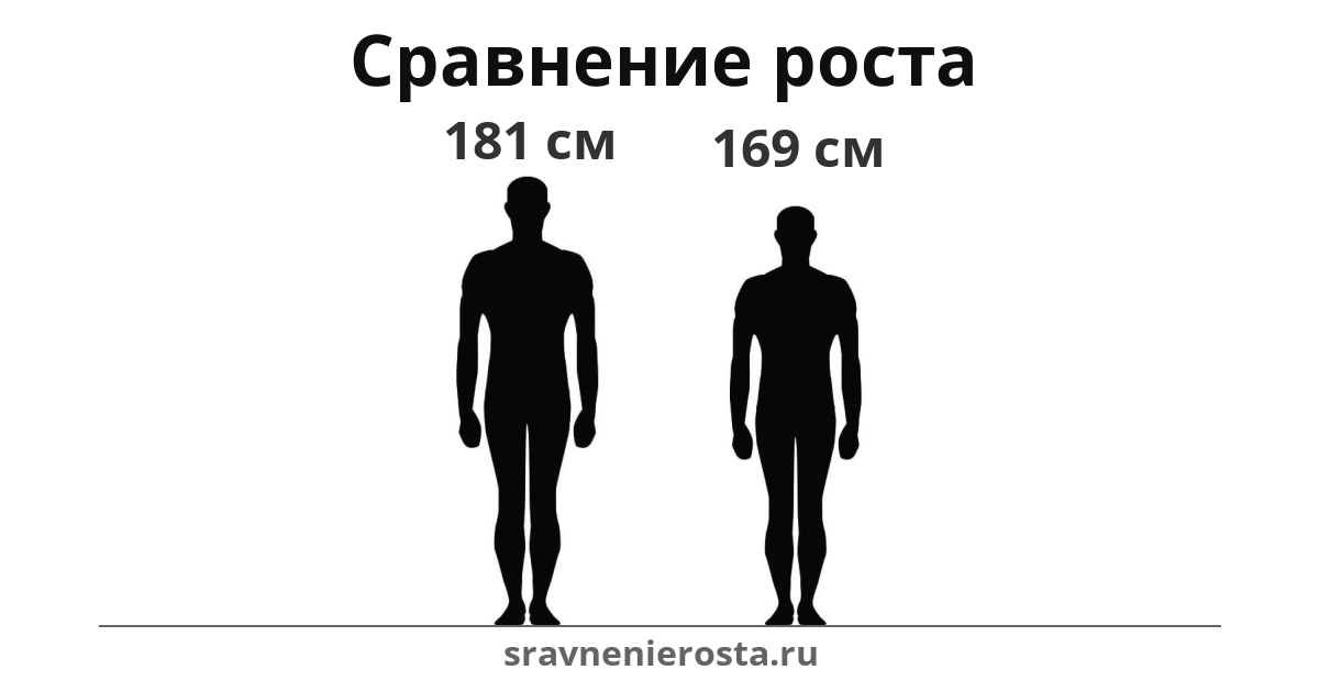 Визуализация соотношения роста мужчины (181 см) и мужчины (169 см) на сайте sravnenierosta.ru
