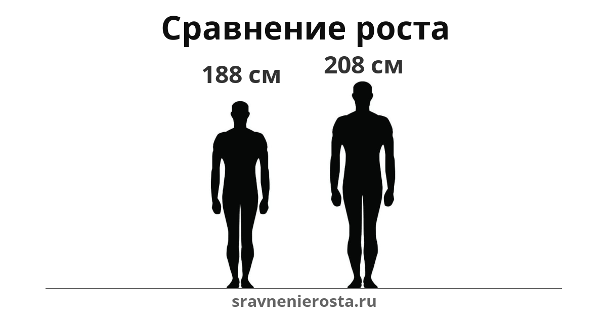 Визуализация соотношения роста мужчины (188 см) и мужчины (208 см) на сайте sravnenierosta.ru