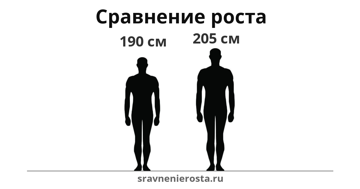 Визуализация соотношения роста мужчины (190 см) и мужчины (205 см) на сайте sravnenierosta.ru