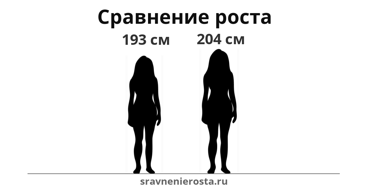 Визуализация соотношения роста женщины (193 см) и женщины (204 см) на сайте sravnenierosta.ru