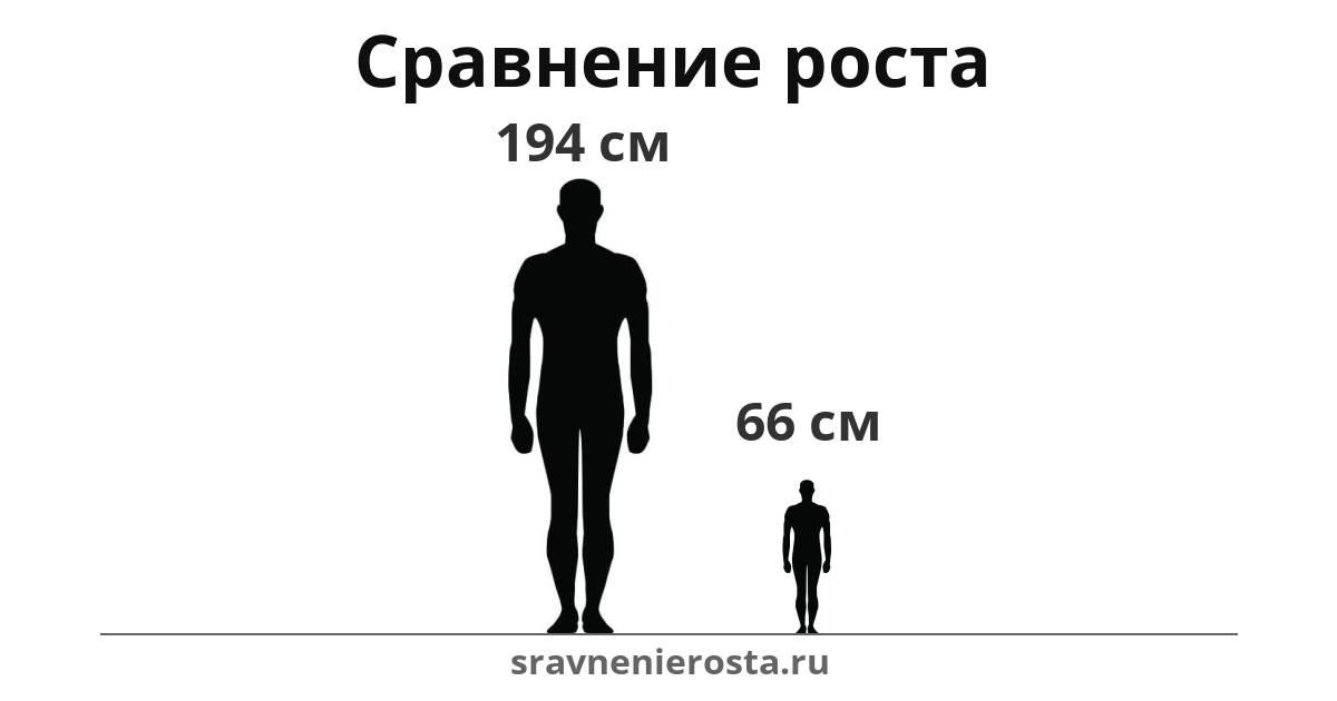 Визуализация соотношения роста мужчины (194 см) и мужчины (66 см) на сайте sravnenierosta.ru