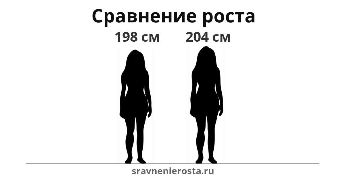 Визуализация соотношения роста женщины (198 см) и женщины (204 см) на сайте sravnenierosta.ru