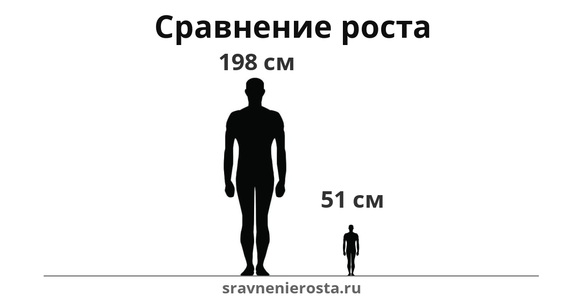 Визуализация соотношения роста мужчины (198 см) и мужчины (51 см) на сайте sravnenierosta.ru