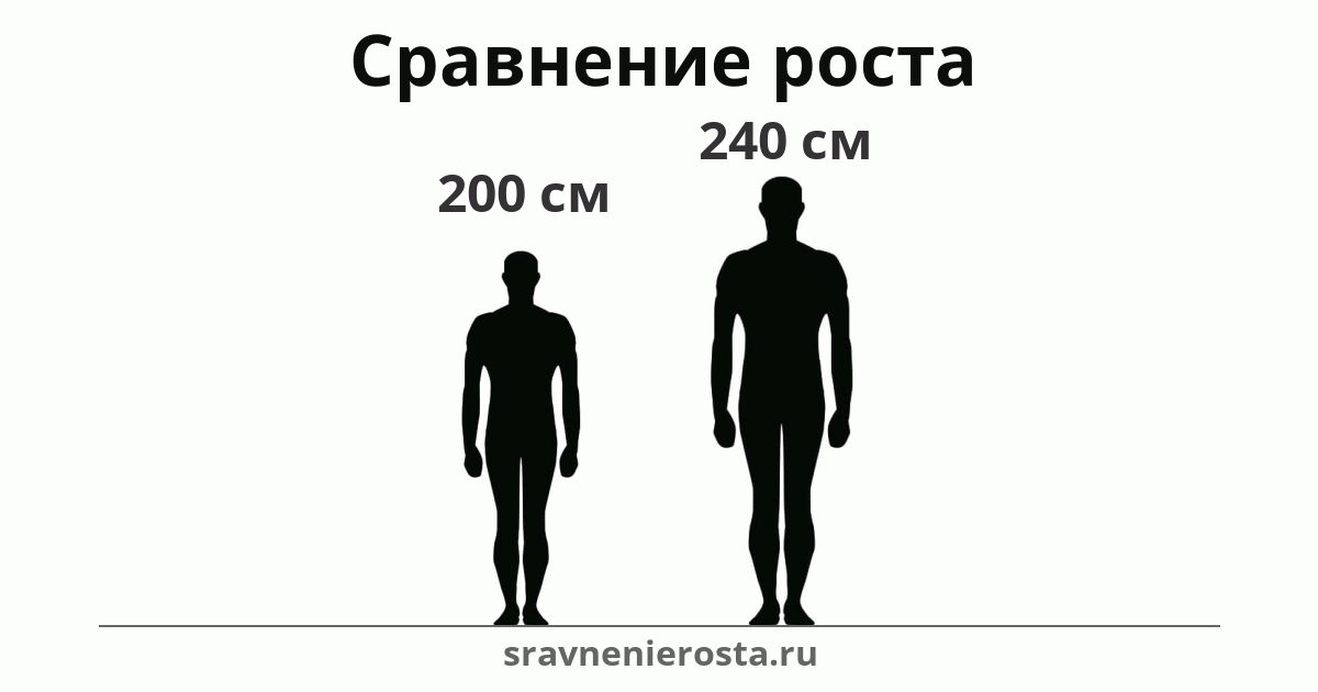 Визуализация соотношения роста мужчины (200 см) и мужчины (240 см) на сайте sravnenierosta.ru