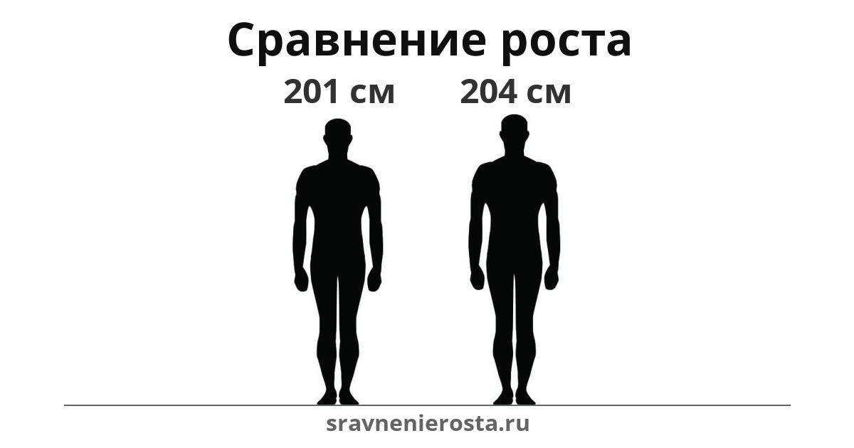 Визуализация соотношения роста мужчины (201 см) и мужчины (204 см) на сайте sravnenierosta.ru