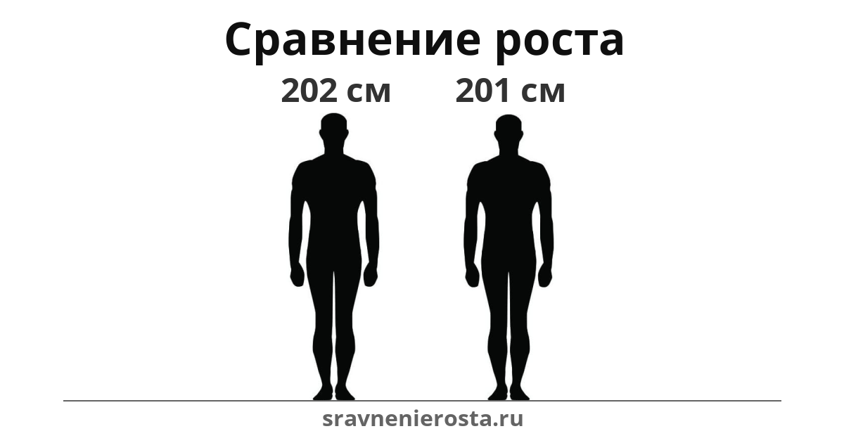 Визуализация соотношения роста мужчины (202 см) и мужчины (201 см) на сайте sravnenierosta.ru