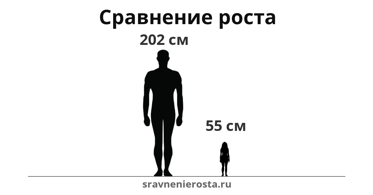 Визуализация соотношения роста мужчины (202 см) и женщины (55 см) на сайте sravnenierosta.ru